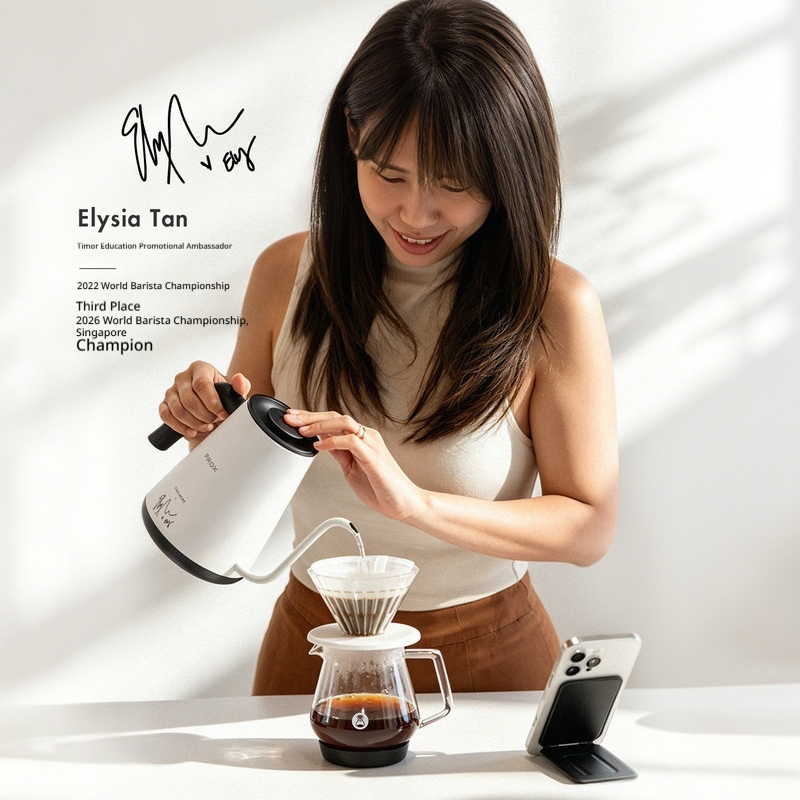 Chaleira Elétrica Timemore Fis - Electric Kettle Temperature Control avaliação e preço
